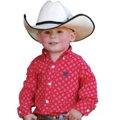 Cinch Toddler Red Printed Button Down